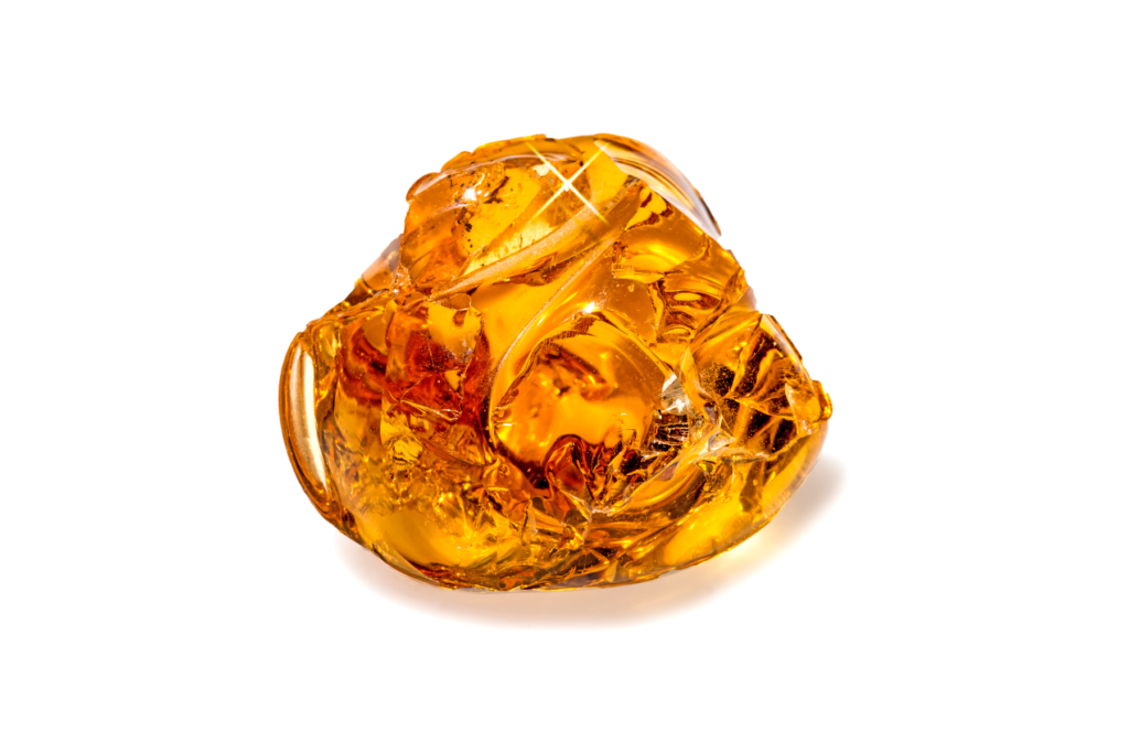 Amber 1 A Fossilized Treasure