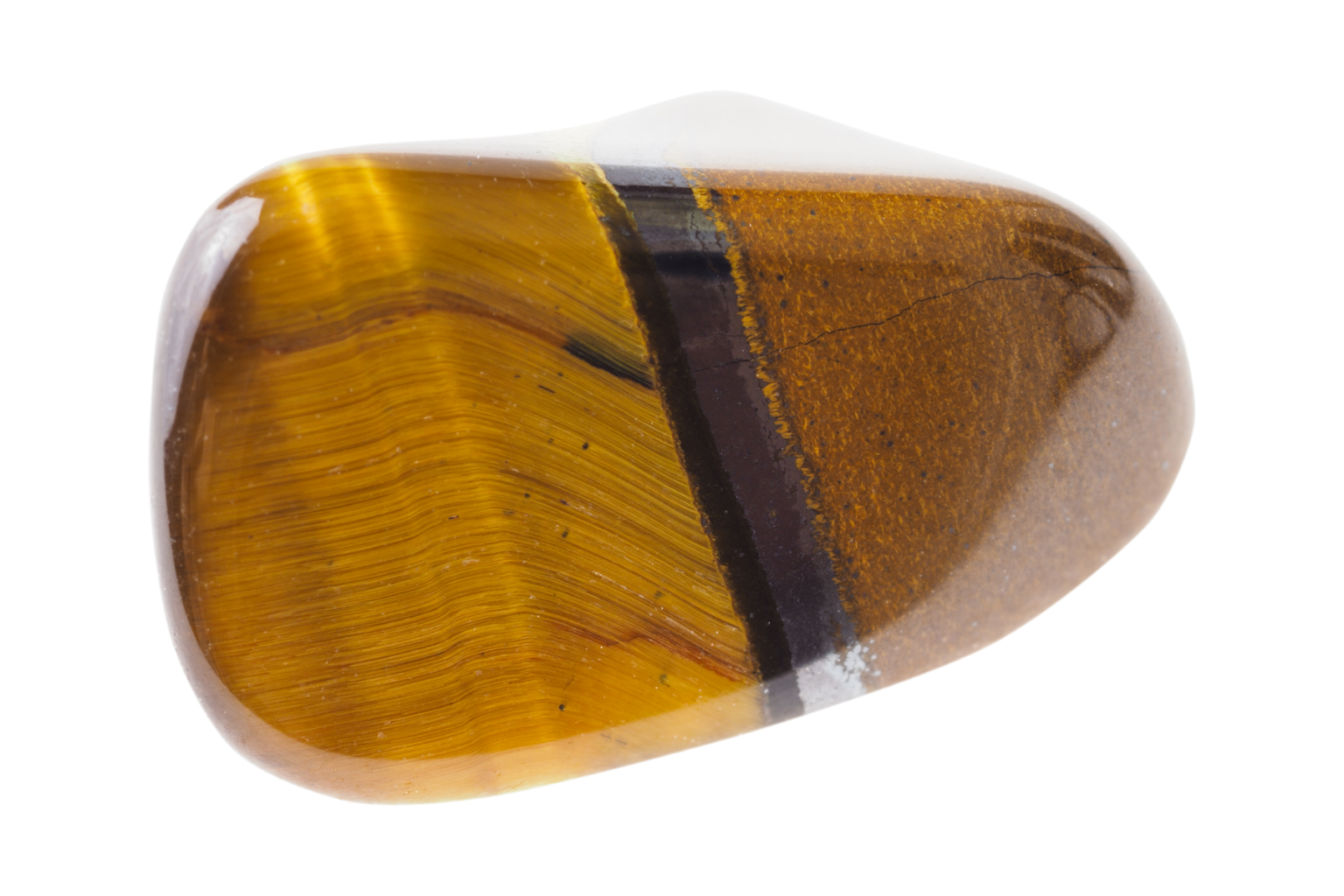 Tiger's Eye 9