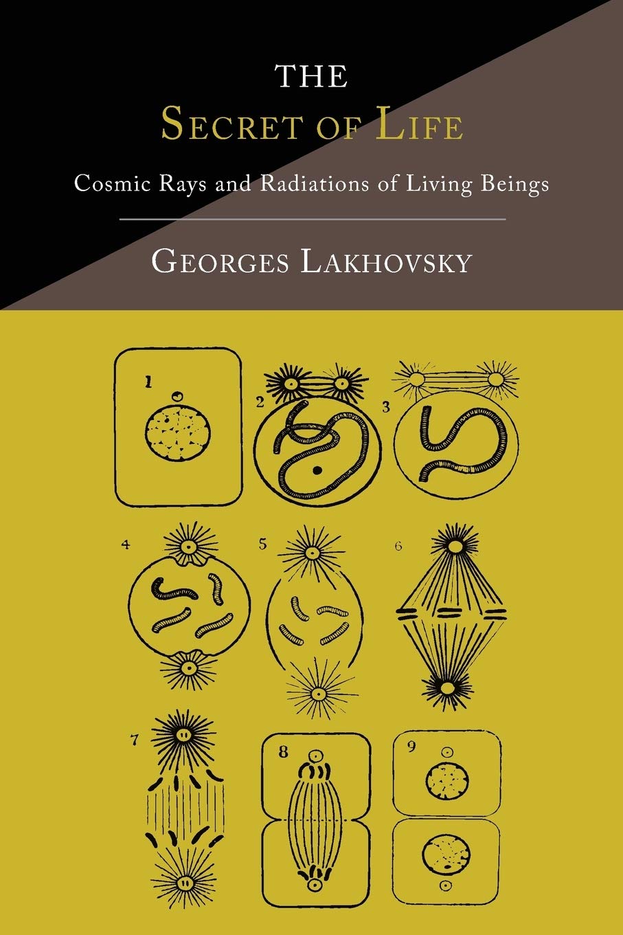 The Secret of Life by Georges Lakhovsky